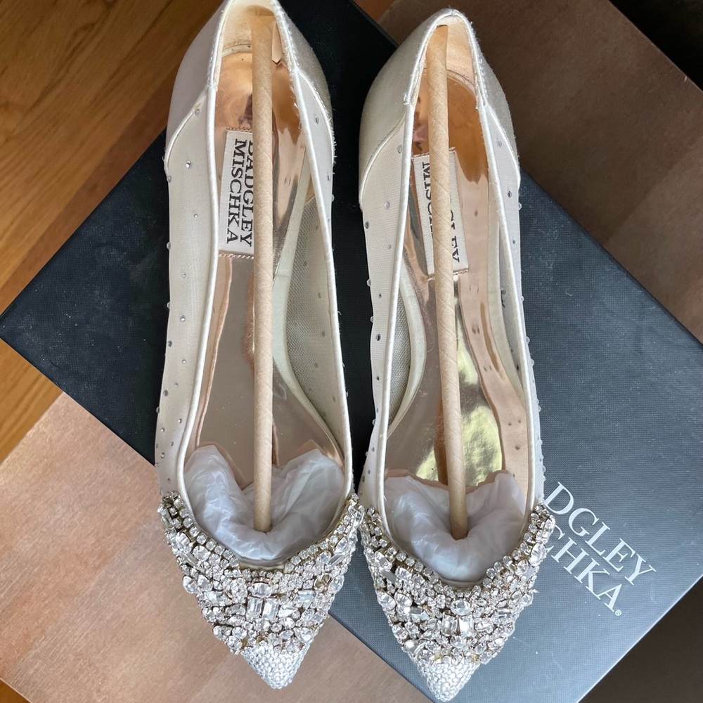 Badgley Mischka Pointed Toe Flat Evening Shoe